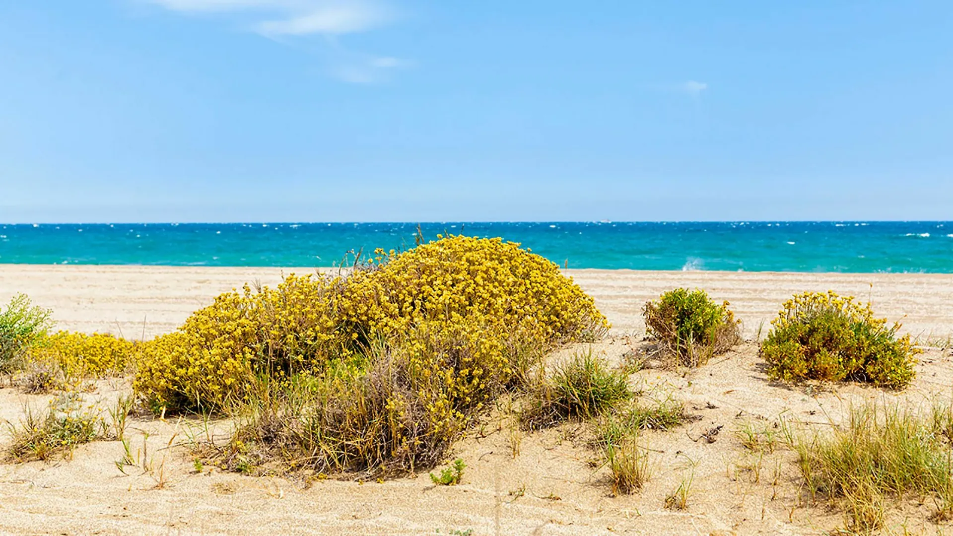Apartamento Urbamar Roquetas de Mar Spain